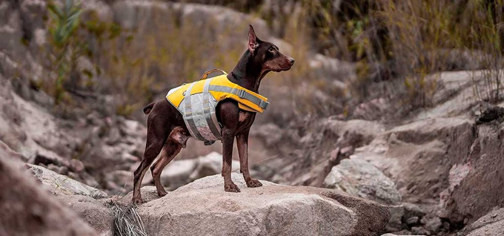 oferta chaleco salvavidas para perro barato