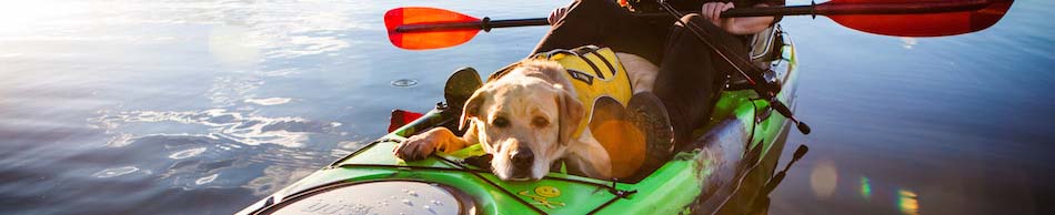 kayak con perro la llosa del cavall