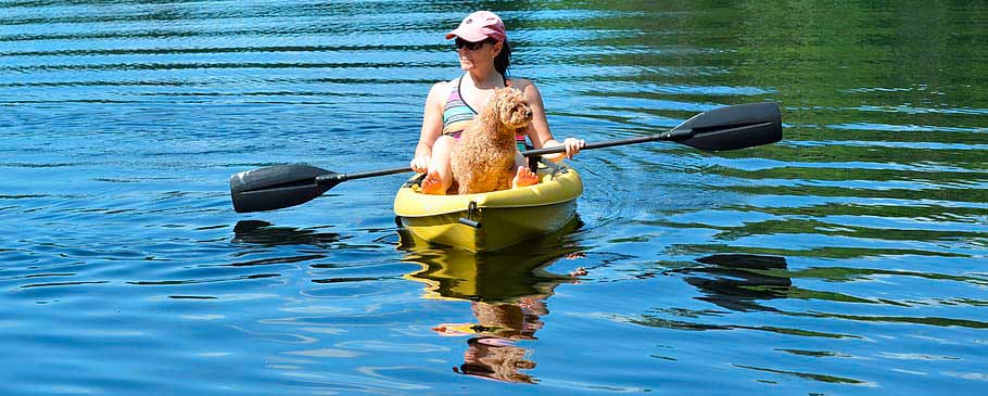 Kayak k1 individual perro
