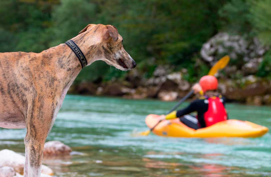 kayak aguas bravas