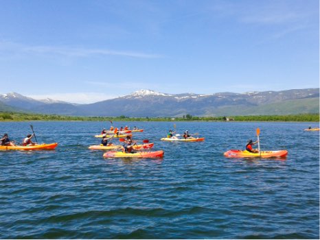 kayak con perros en madrid